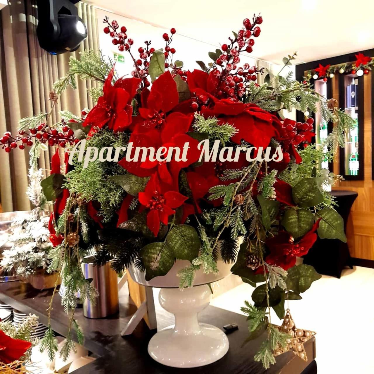 Apartments Marcus & Pascal Šibenik Екстериор снимка